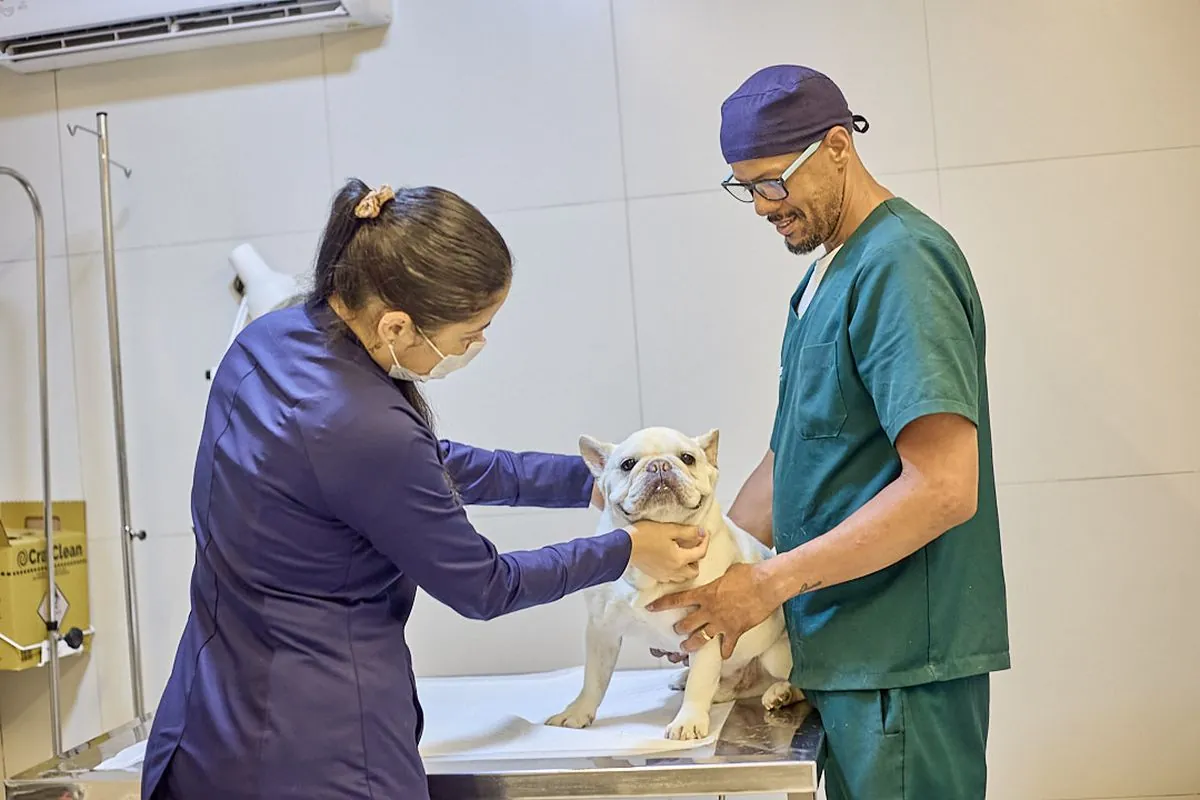 Enfermeira da Pet Master acompanhando os animais internados